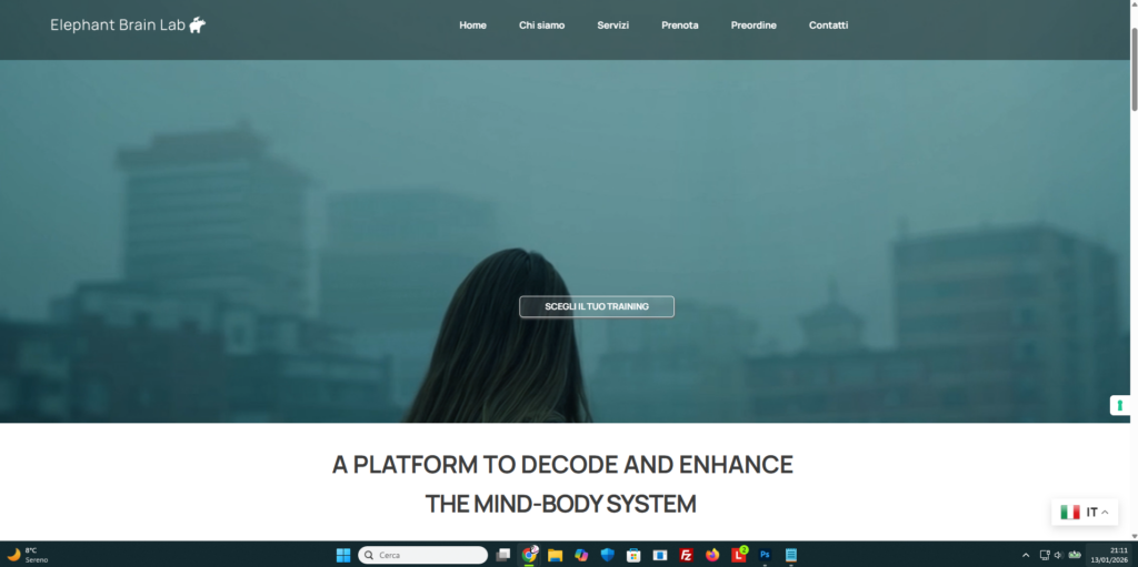 Gestione e ottimizzazione del sito | Progetto di collaborazione con elephantbrainlab.com