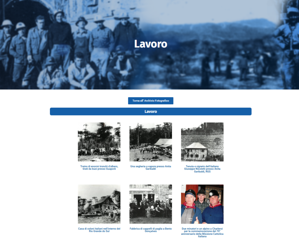 Gestione e ottimizzazione sito cser.it