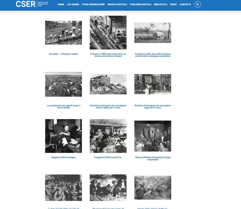 Gestione e ottimizzazione sito cser.it