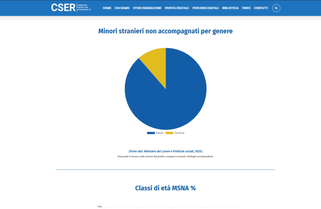 Gestione e ottimizzazione sito cser.it