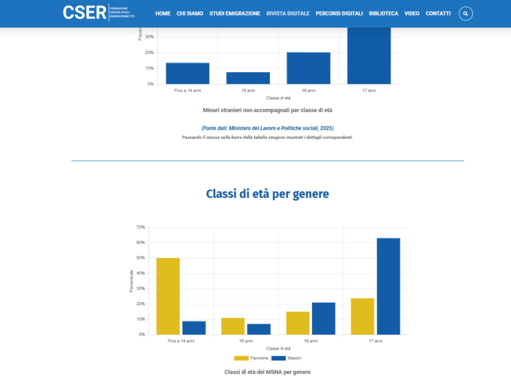 Gestione e ottimizzazione sito cser.it