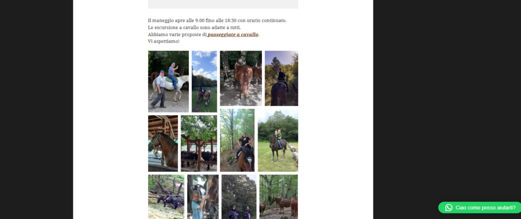 Gestione e ottimizzazione sito Maneggio La Camosciara, https://www.maneggiolacamosciara.it/